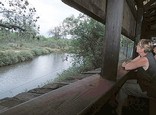 Bateleur Bushcamp - Kruger Park