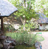 Shingwedzi Restcamp - Kruger Park