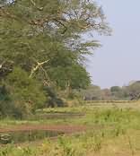Shingwedzi Restcamp - Kruger Park
