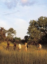 Talamati (Bushveld Camp) - Kruger Park