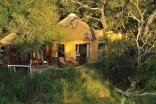 Vuyatela - Djuma Game Reserve