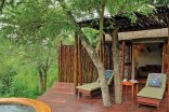 Vuyatela - Djuma Game Reserve
