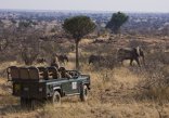 Tuli Safari Lodge