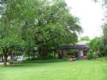 Big Tree B&B