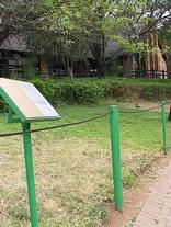 Self Drive Safari - Kruger Park