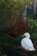 @Flo-Ben Guest House
