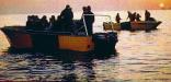 Durban Diving