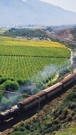 Steam Train Trips