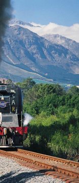 Steam Train Trips