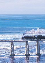 Steam Train Trips