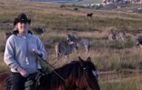 Horse Back Safaris & Trails