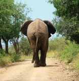 Bushlands Game Lodge