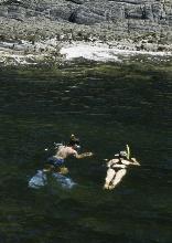 Snorkelling