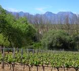 Cape Route 62
