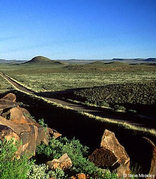 Loxton