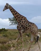 South Africa Vacation