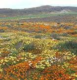 South Africa Vacation