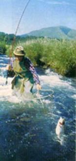 Flyfishing in South Africa