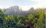 Franschhoek