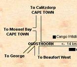 Cango Ostrich Farm - Oudtshoorn