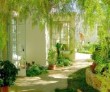 The Prince Albert Garden Guest House