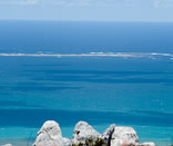 Gansbaai & Surrounds