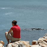Gansbaai & Surrounds