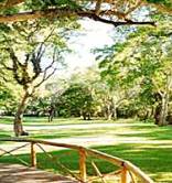 Moholoholo