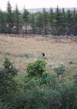 Nature Reserves and Parks in Johannesburg