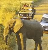 Hluhluwe-Imfolozi Game Reserve
