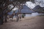 Zululand Safari Lodge