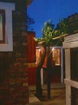 Tonnelkop Self Catering Units