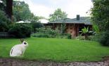 The Rabbit Hole Guest House & Restaurant