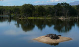 Edeni River Lodge