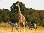 Kruger Park Wilderness Trails