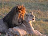 Kruger Park Wilderness Trails