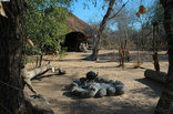Pungwe Bush Camp