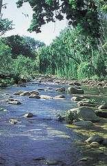 Jonkershoek Nature Reserve
