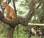 Kapama Game Reserve