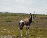 De Hoop Nature Reserve