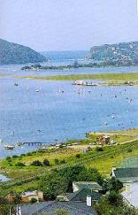 Diving at Knysna