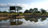 beautiful hide