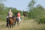 horse riding at ZaZoe