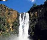 Pietermaritzburg Parks & Gardens