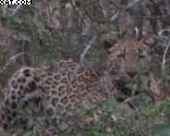 Kruger Park Exit Permits