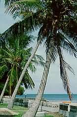 Maputo