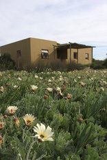 Duinepos Chalets