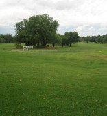 City of Welkom
