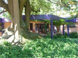 Big Tree B&B