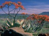 Graaff Reinet